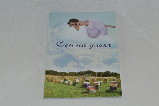 Соломка В.А. Сон на ульях