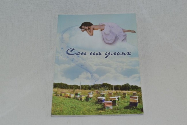 Соломка В.А. Сон на ульях