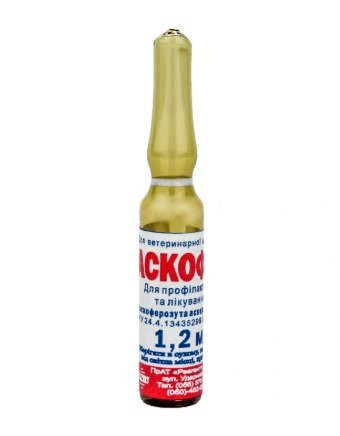 Аскофіт Аскофіт