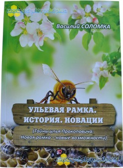 Соломка В.А. Вулична рамка. Історія. Новації 2016 р.