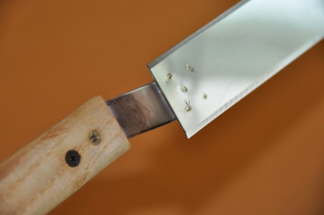 Ніж пасічний 150, нержавіюча сталь (широкий)