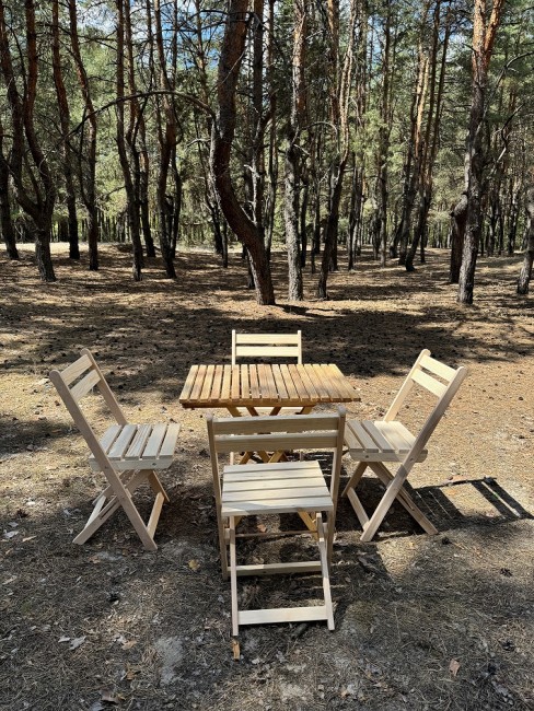 Стілець складний садовий "Бджоліс"