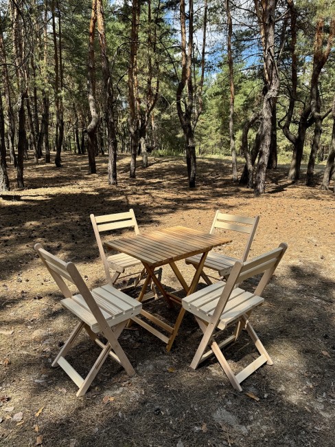 Стілець складний садовий "Бджоліс"