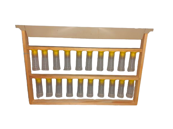 Прививочна рамка Дадан 300 мм з цоколями, мисочками та бігуді аналог Nicot