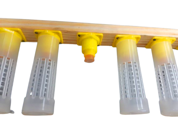 Прививочна рамка Дадан 300 мм з цоколями, мисочками та бігуді аналог Nicot