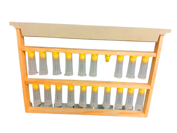 Прививочна рамка Дадан 300 мм з цоколями, мисочками та бігуді аналог Nicot