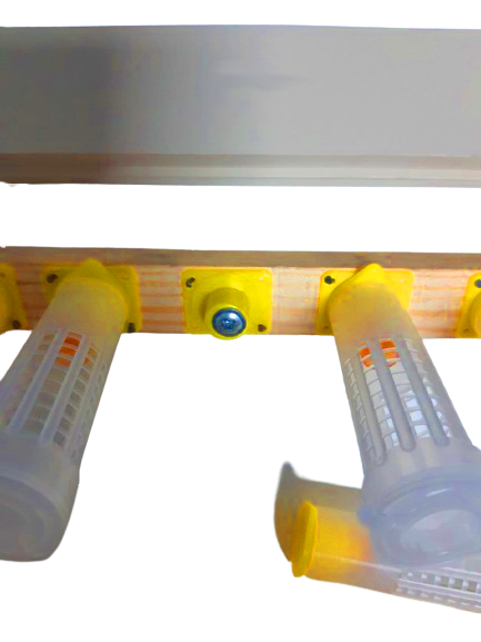 Прививочна рамка Дадан 300 мм з цоколями, мисочками та бігуді аналог Nicot