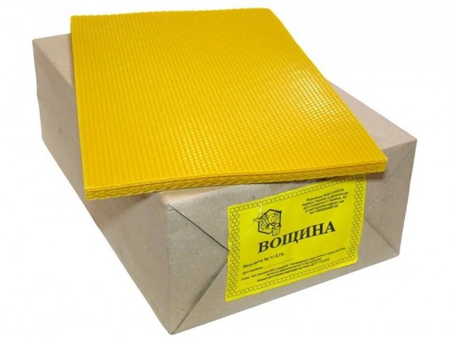 voshina.jpg